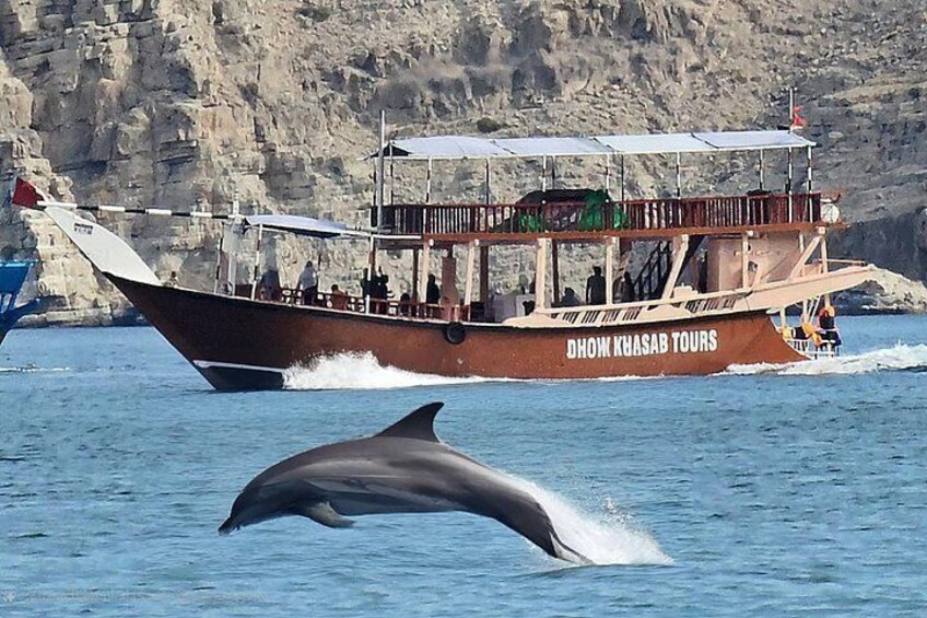 Khasab Watching Dolphins 1