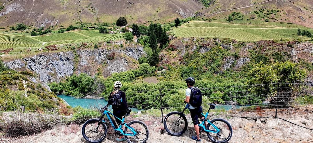 Picture 2 for Activity Queenstown: Guided E-Bike Tour with Winery Visits & Tastings 2