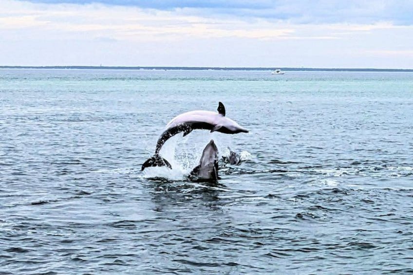 Surprising moments like this are unbelievable. 5