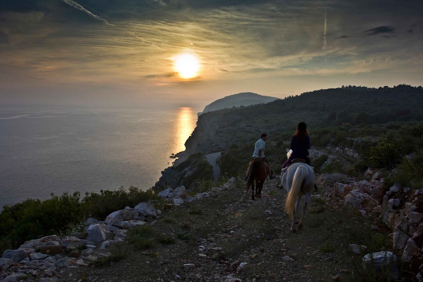 Dubrovnik Kojan Koral: Horseback riding with transport 1