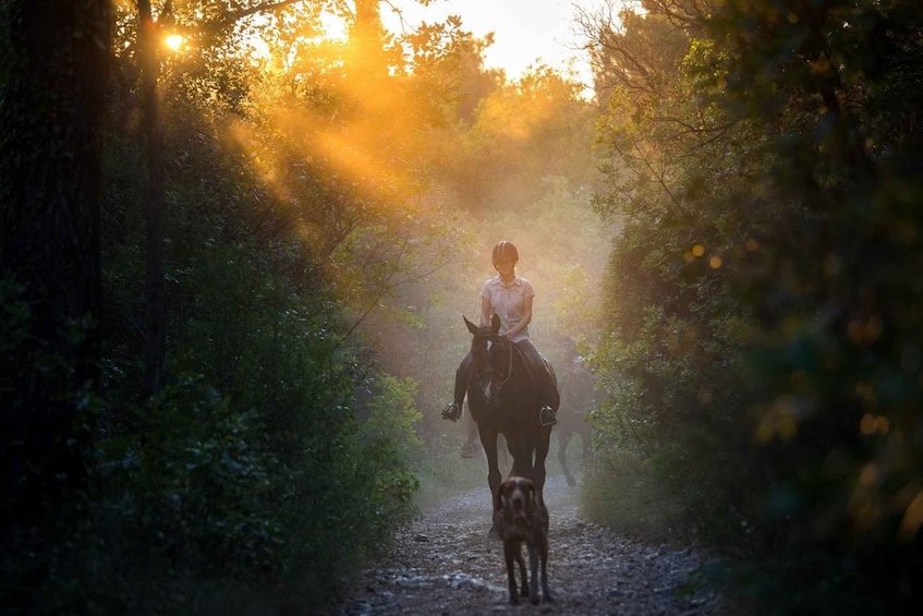 Dubrovnik Kojan Koral: Horseback riding with transport 2