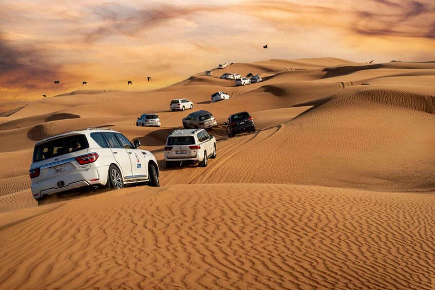 A desert landscape with sand dunes and several vehicles, including a white SUV and a black SUV, navigating the terrain. 5