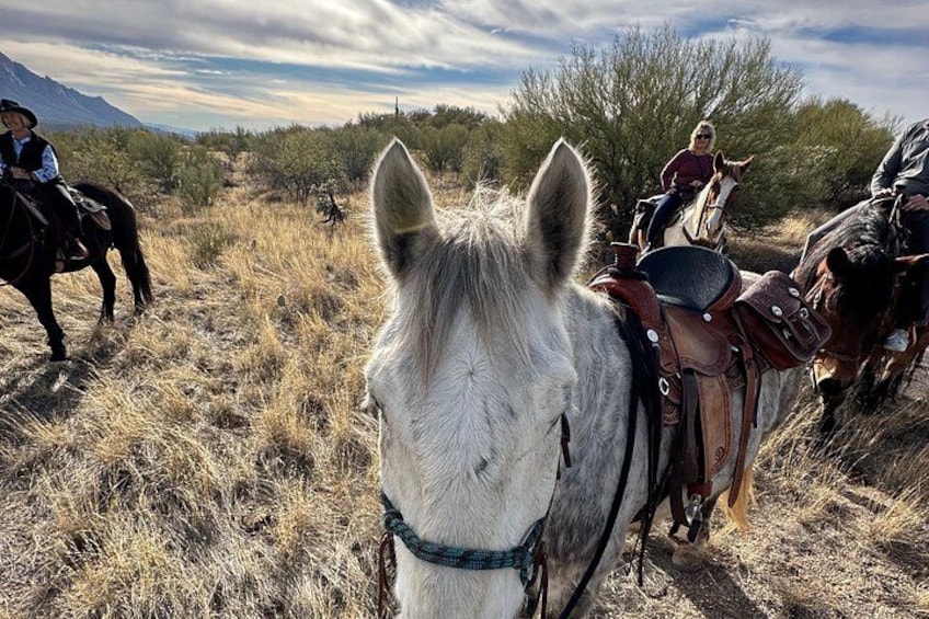 A horse with a rider in a desert landscape with sparse vegetation and distant mountains. 3