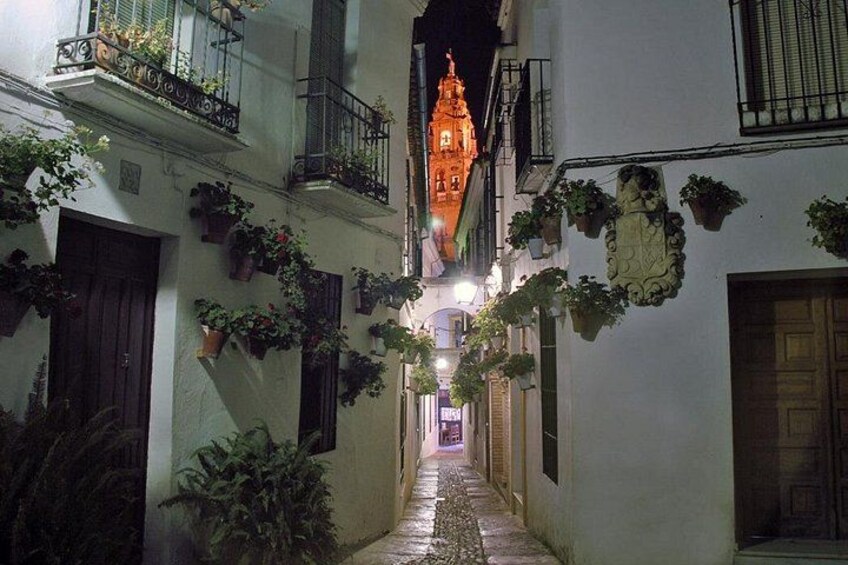 Private Walking Tour in Cordoba 3