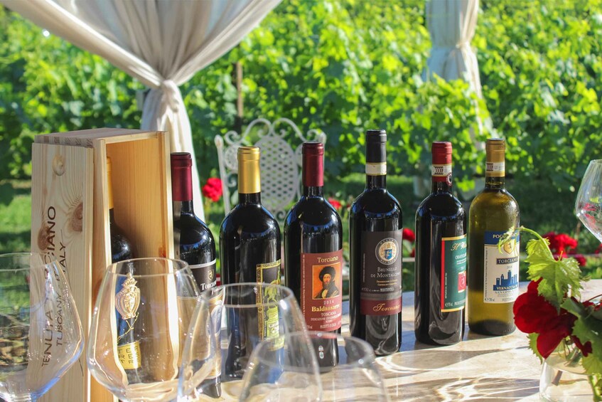Picture 1 for Activity Lunch in the garden and Wine Tasting 3