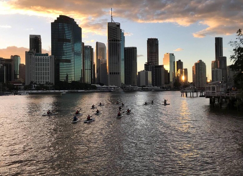 Picture 5 for Activity Brisbane: Illuminated River Night Kayak Tour 5