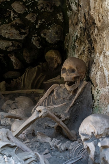 Picture 14 for Activity Herculaneum: Skip The Line Entrance ticket + Audioguide 5