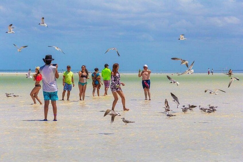 Holbox Paradise Experience 2