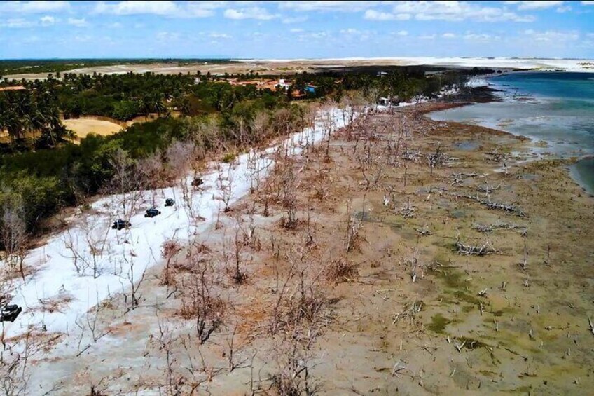 Tourist Tour in Jericoacoara