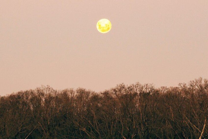 Sunset Nocturnal Adventure Tour 3