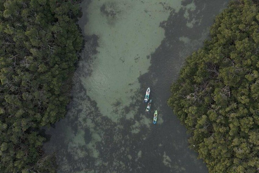 Vista aerea di una zona boscosa con un fiume e tre barche. 5