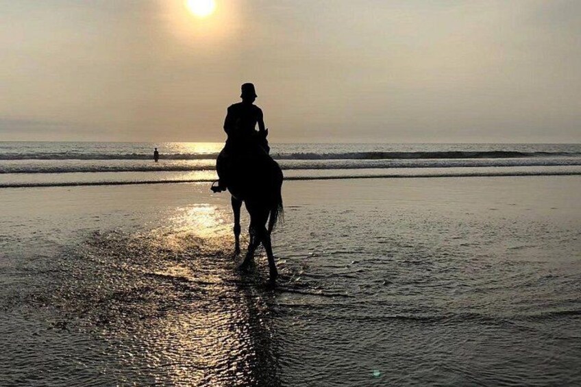Seminyak Bali Horse Back Riding private experiance 2