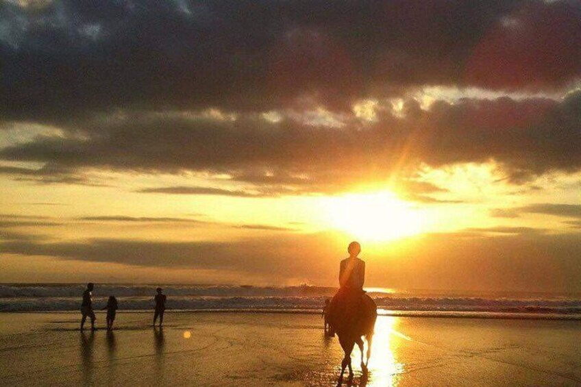 Seminyak Bali Horse Back Riding private experiance 2