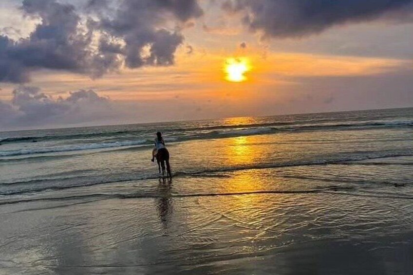 Seminyak Bali Horse Back Riding private experiance 4