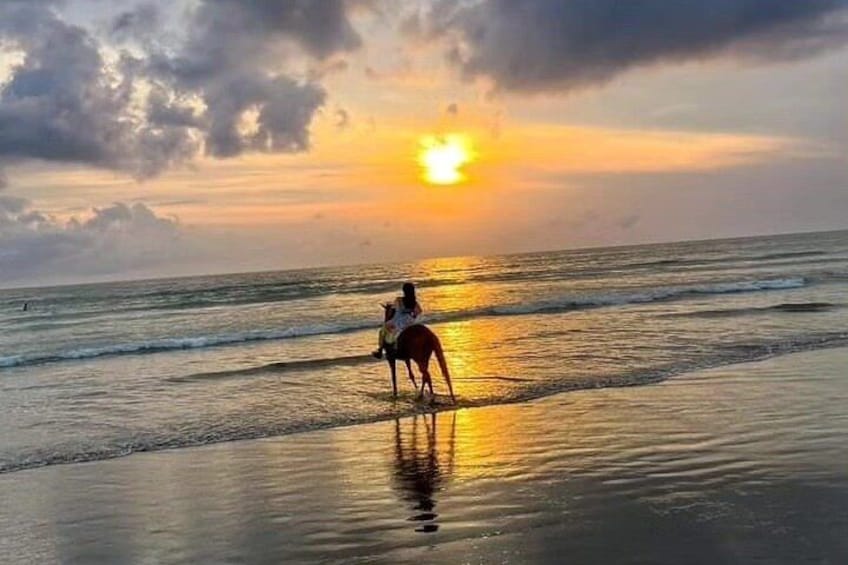 Seminyak Bali Horse Back Riding private experiance 5