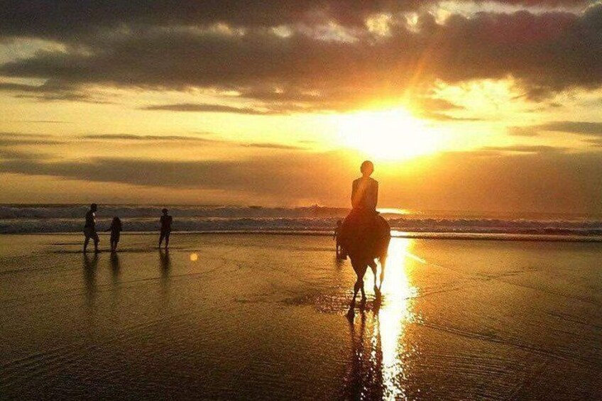 Seminyak Bali Horse Back Riding private experiance 2