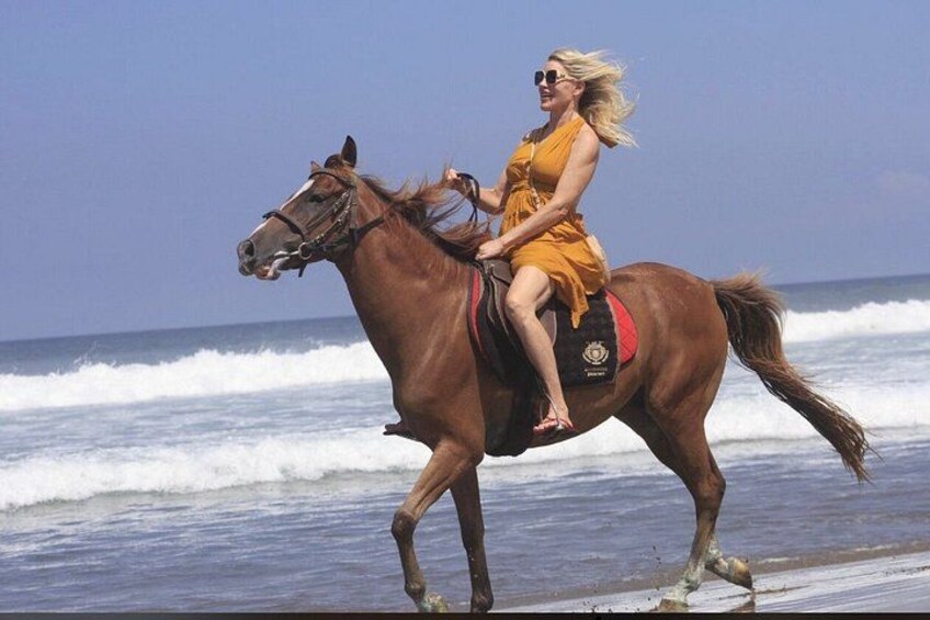 Seminyak Bali Horse Back Riding private experiance 2
