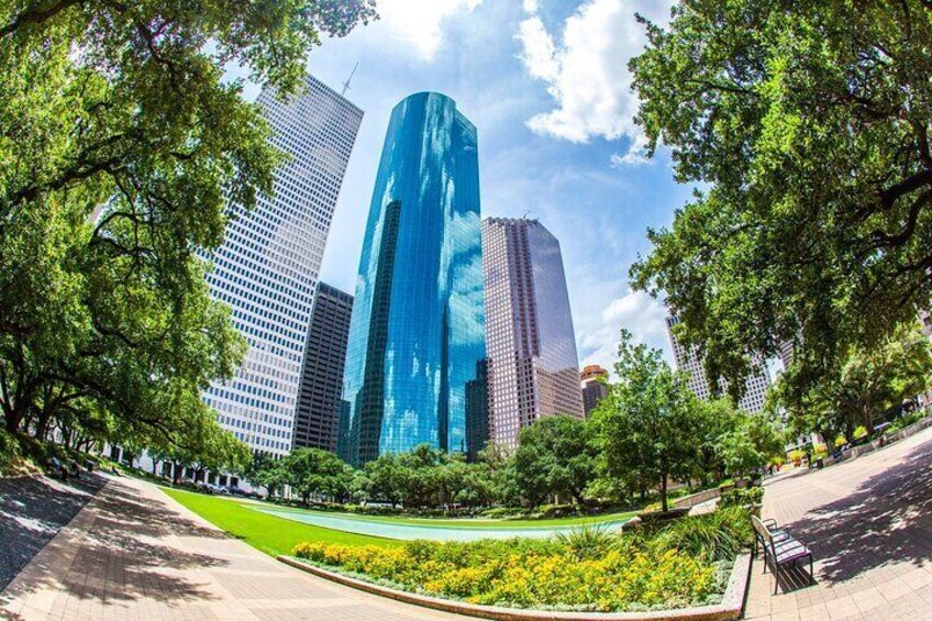 Houston Highlights, Culture, Science and Art Tour