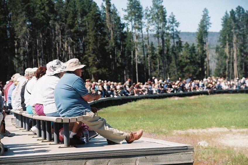 Yellowstone Lower (Southern) Loop Tour 2