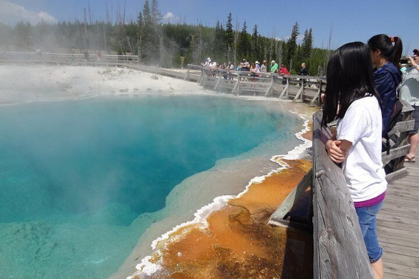 Yellowstone Lower (Southern) Loop Tour 4