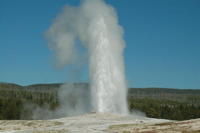 Old Faithful erupting! 1