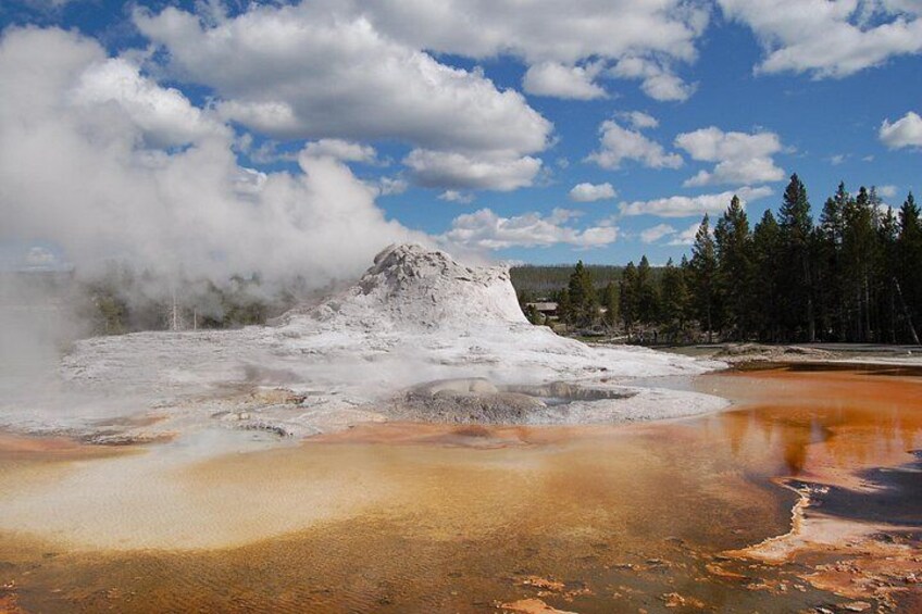 Yellowstone Lower (Southern) Loop Tour 5