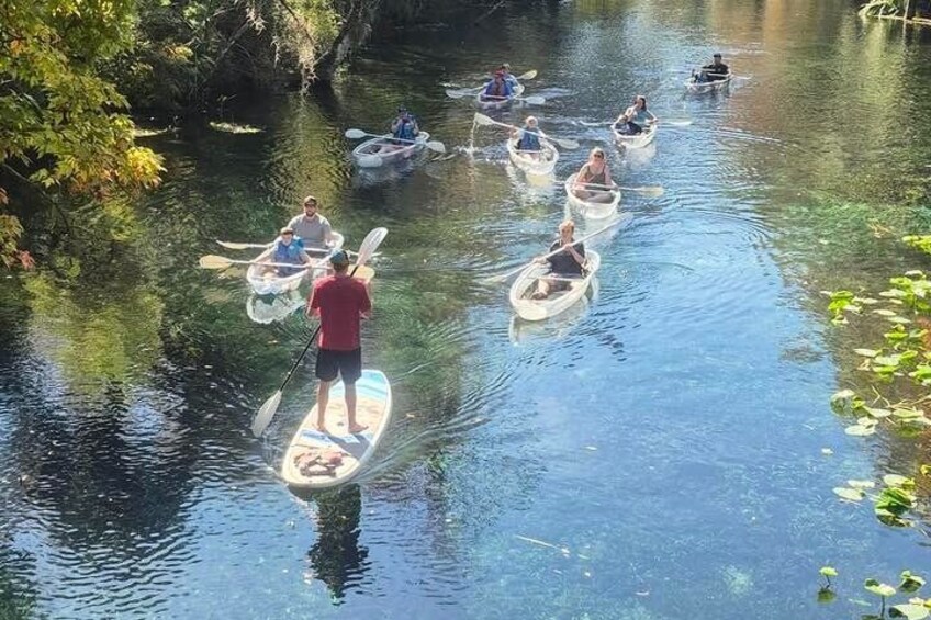 People kayaking on a calm river surrounded by greenery. 2