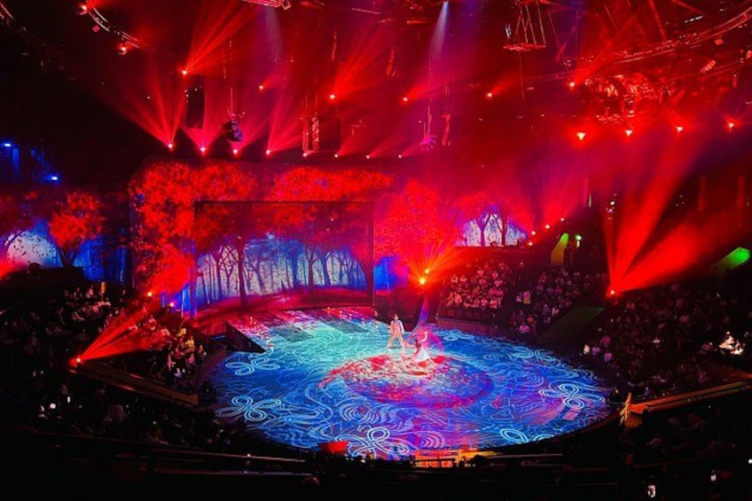 A stage with a performer in the center, surrounded by a forest-themed backdrop and colorful lighting. 3