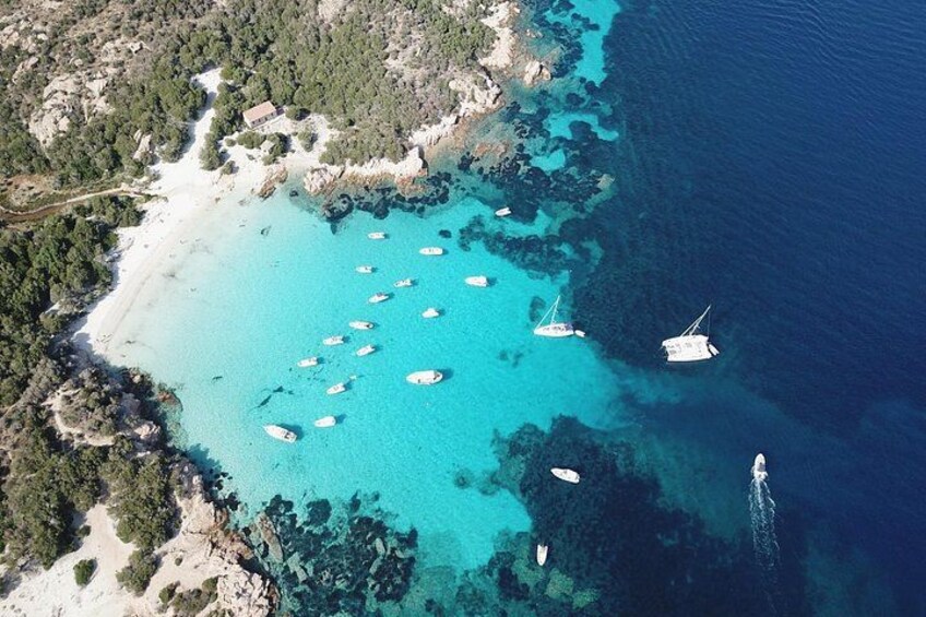 Palau or La Maddalena: 4-hour RIB tour of the archipelago 4