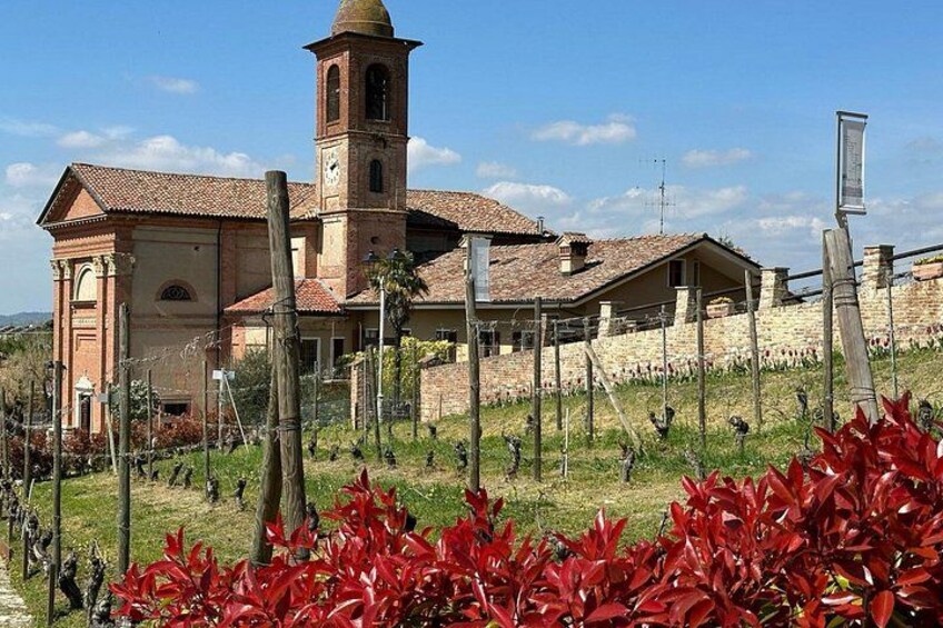 Small-Group Barolo Wine Tasting, Alba & UNESCO Piedmont Hills 3