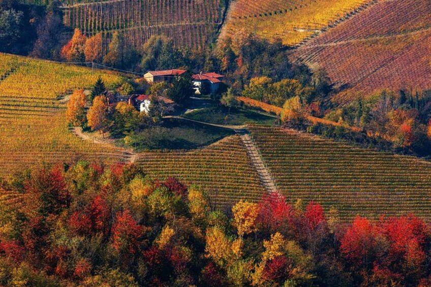 Wine cellars on the top of the hill 2