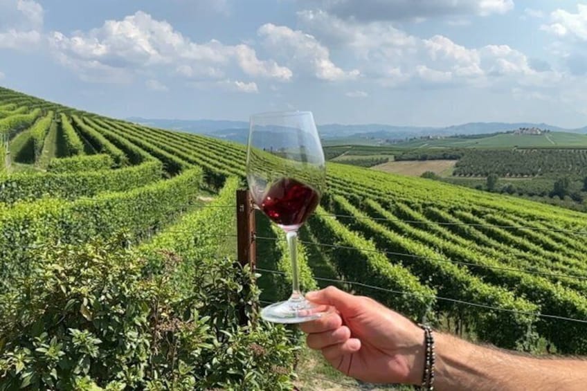 Small-Group Barolo Wine Tasting, Alba & UNESCO Piedmont Hills 4