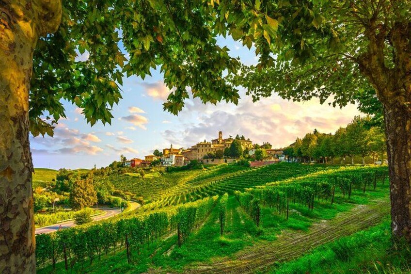 Small-Group Barolo Wine Tasting, Alba & UNESCO Piedmont Hills 4