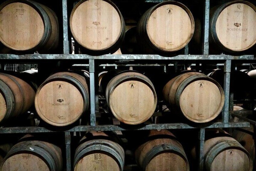 Small-Group Barolo Wine Tasting, Alba & UNESCO Piedmont Hills 2