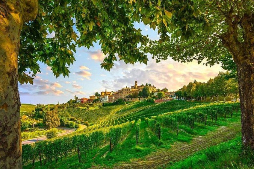 Small-Group Barolo Wine Tasting, Alba & UNESCO Piedmont Hills 4