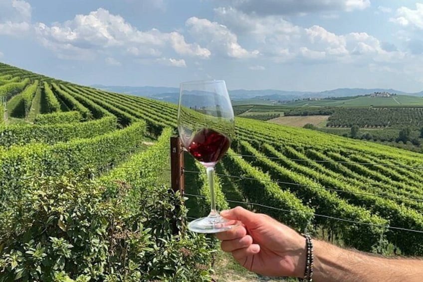 Small-Group Barolo Wine Tasting, Alba & UNESCO Piedmont Hills 3