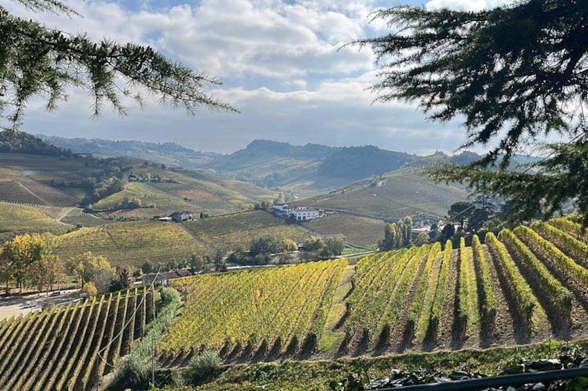 Small-Group Barolo Wine Tasting, Alba & UNESCO Piedmont Hills 2