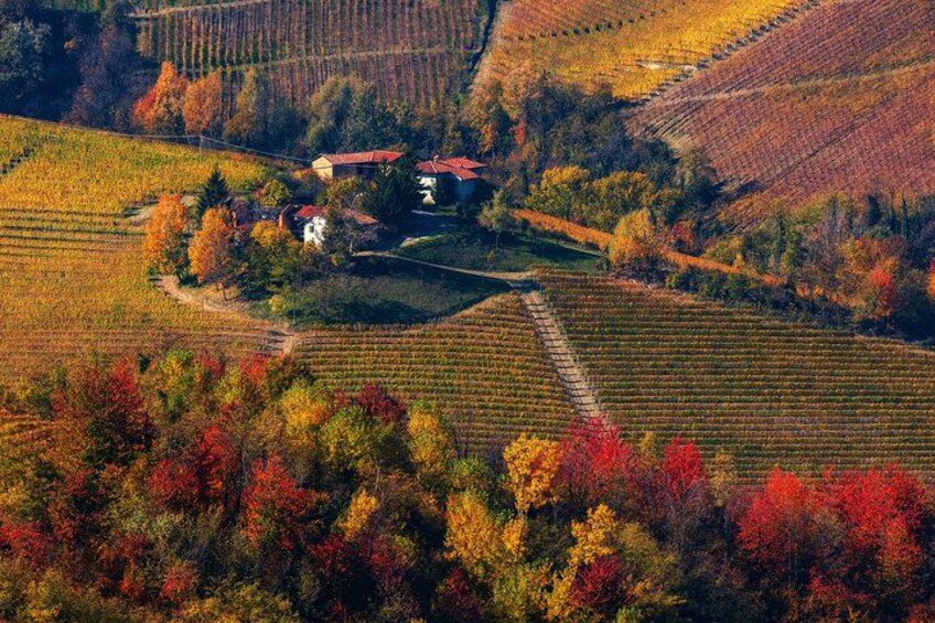 Wine cellars on the top of the hill 2