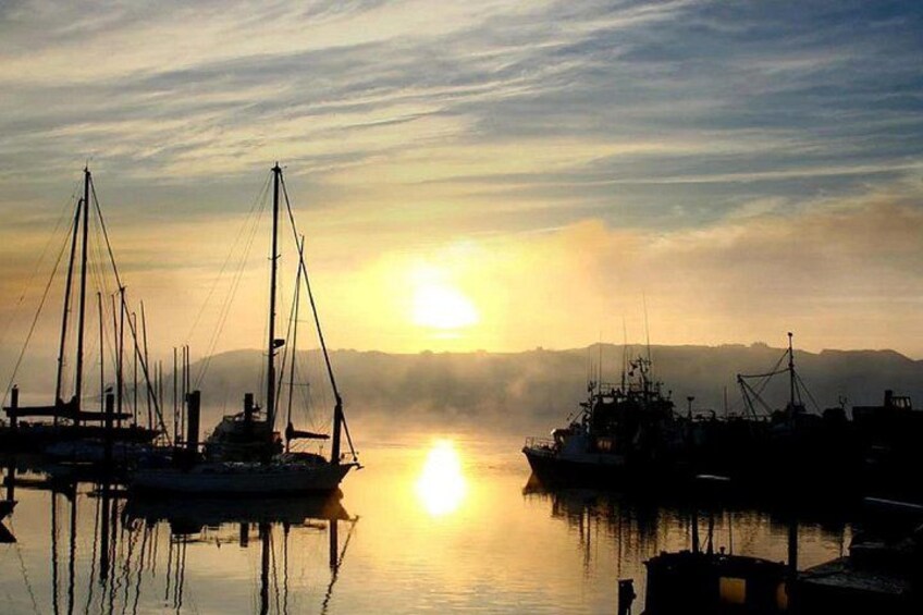 Kinsale Harbour 5