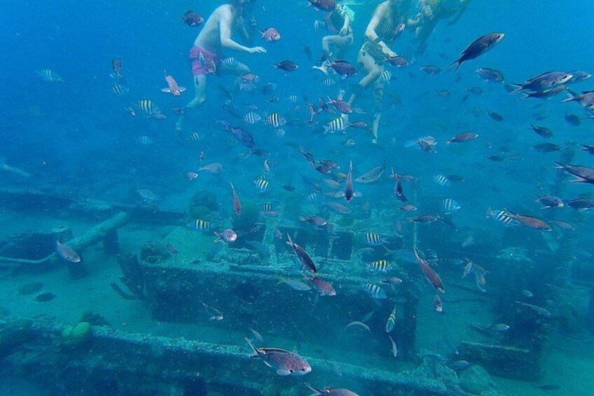 Snorkeling at the tugboat wreck 4