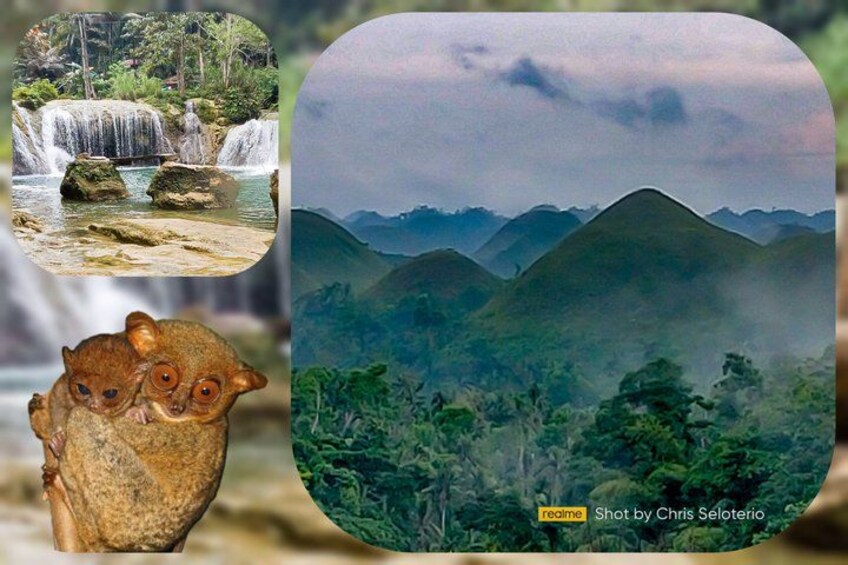 A waterfall, a forested mountain range, and a lemur. 2