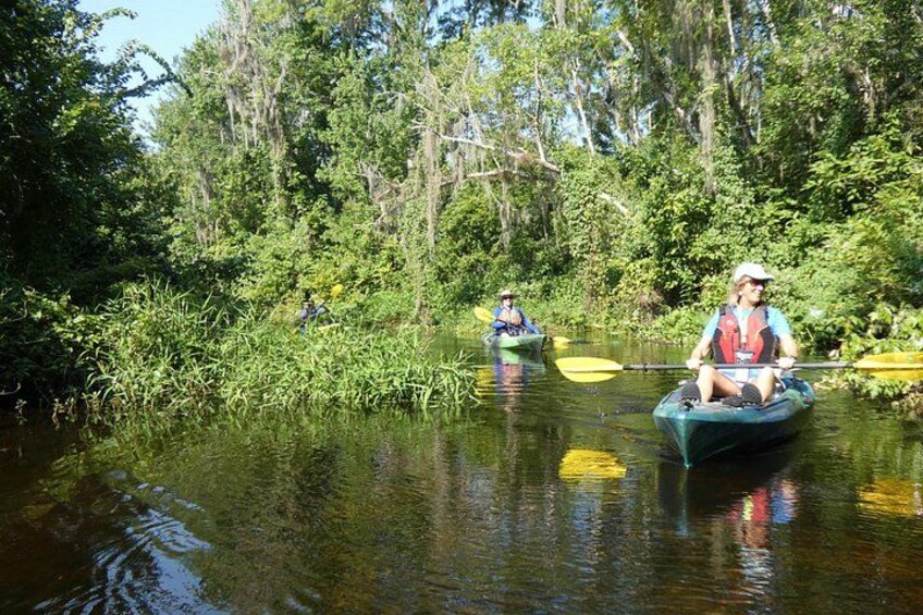Two people paddling kayaks on a calm river surrounded by dense greenery. 5