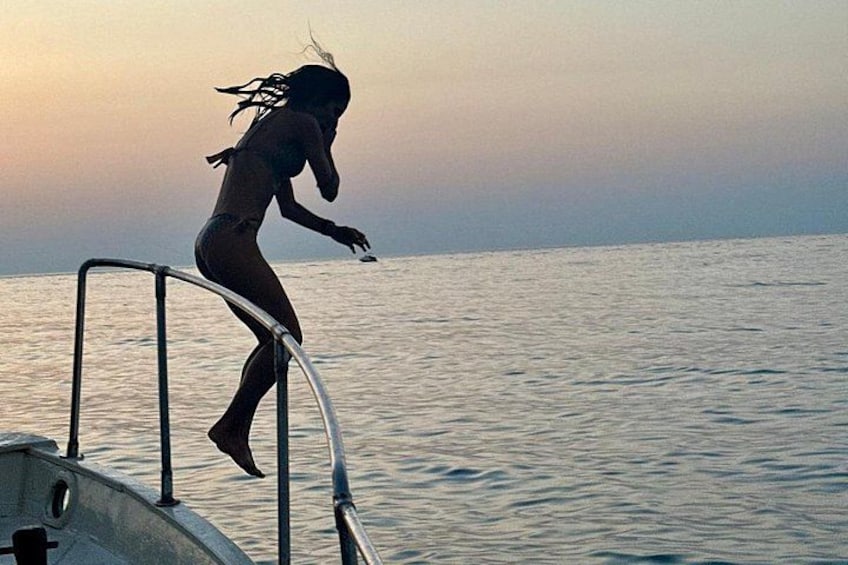 Let's dive into Favazzina 5