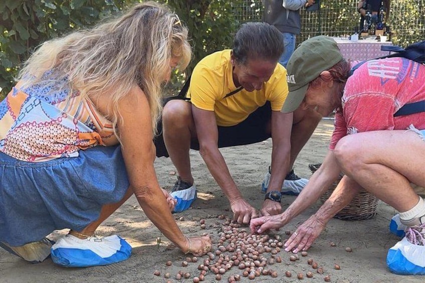Etna Food and Wine Tour from Taormina 2