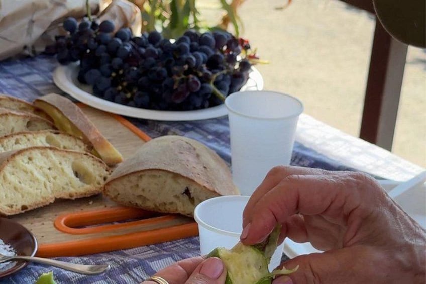 Etna Food and Wine Tour from Taormina 3