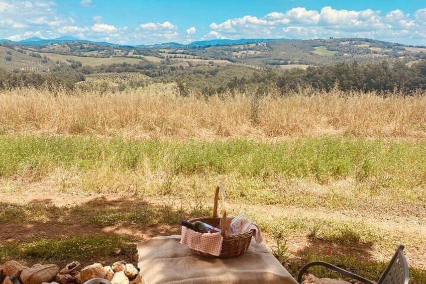 Lunch Picnic in the Maremma Hills