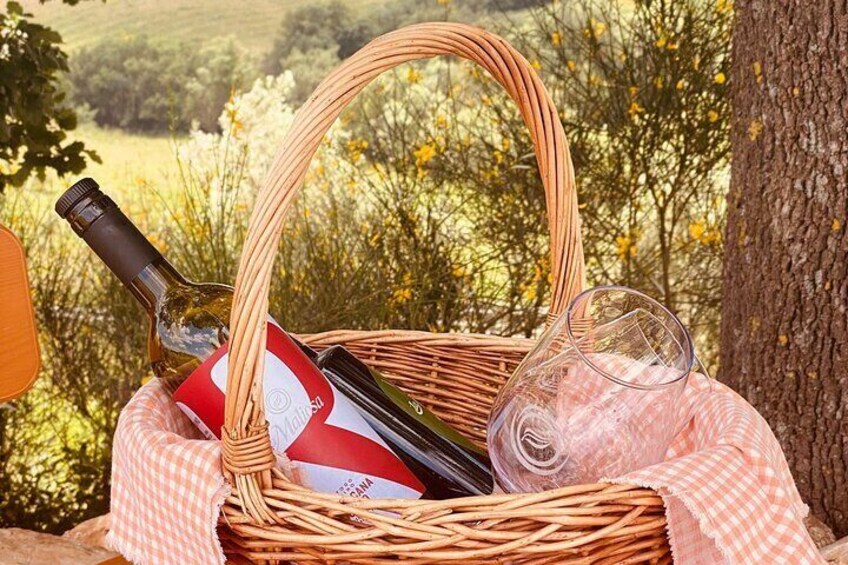 Lunch Picnic in the Maremma Hills