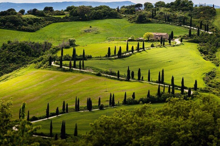 8 Days Private Tour Tuscany & Umbria Best Flavours 3
