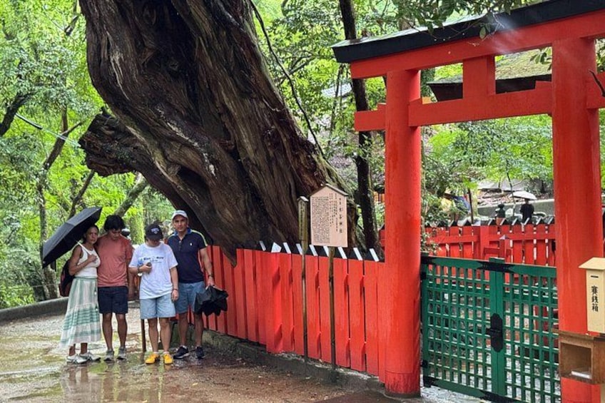 Kyoto Full-Day Excursion from Kobe (Osaka) Port 3