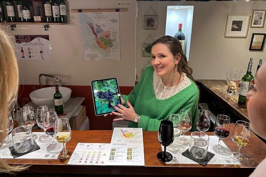 A person holding a tablet at a bar with wine glasses and bottles. 4